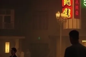 青禾纪年封面：插秧季节的水田倒影与远处田埂上的自行车